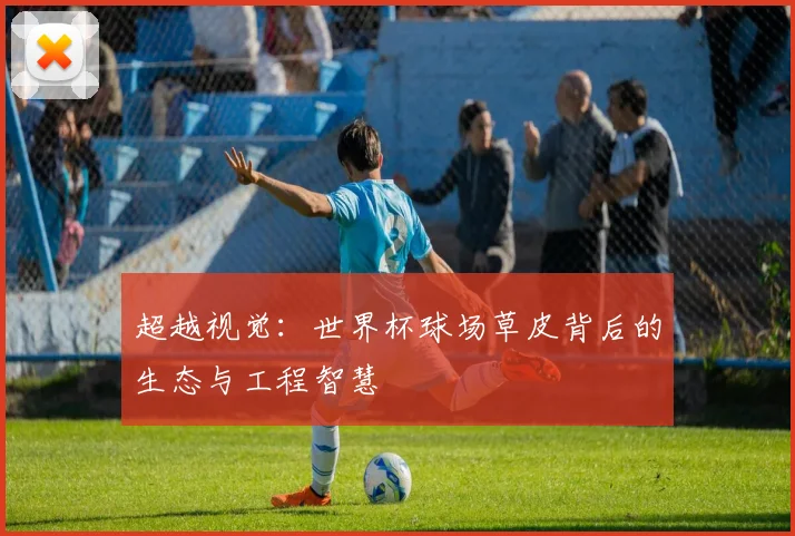 超越视觉：世界杯球场草皮背后的生态与工程智慧